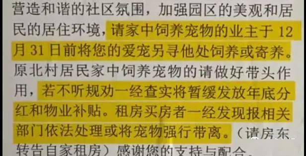 网络世界中的法律红线——以黄大仙论坛精准单双十两肖视频为例