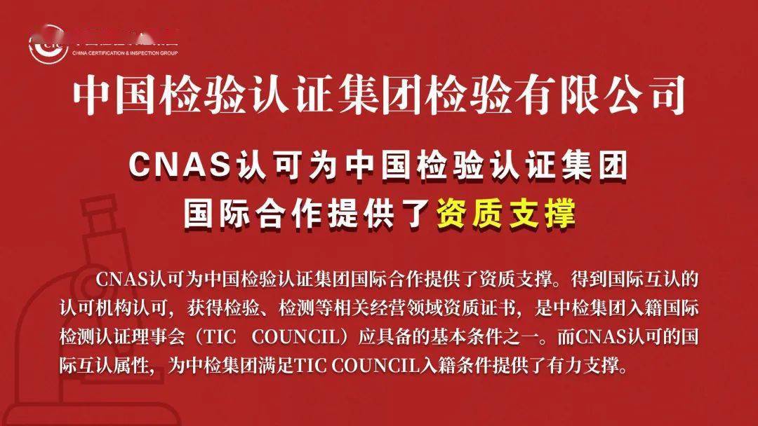 网络世界中的灰色地带，对黄大仙论坛一句特爆视频的深度剖析与警示