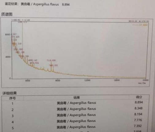 探秘黄大仙论坛，开奖结果查询与最新消息的深度解析