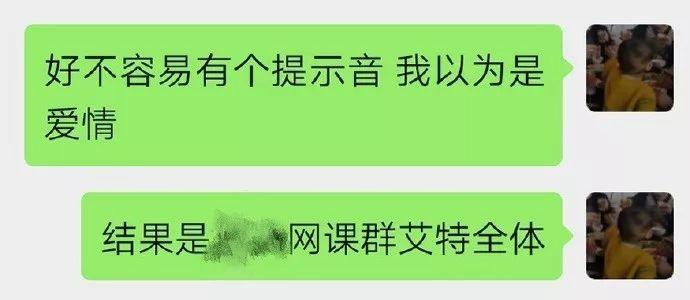 探秘黄大仙论坛，最新开奖结果与今日动态