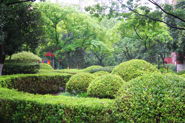 紫荆花园，城市中的自然绿洲