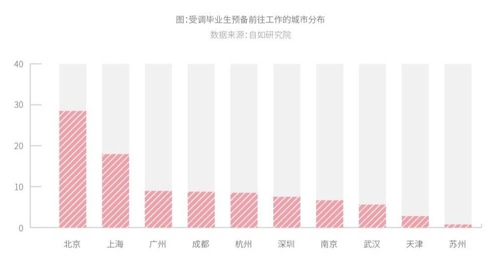 探索杨市租房新选择，从传统到现代的居住变革