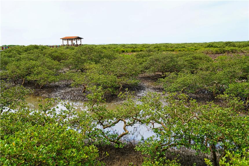 广州金海湾花园，海滨生活的诗意栖居