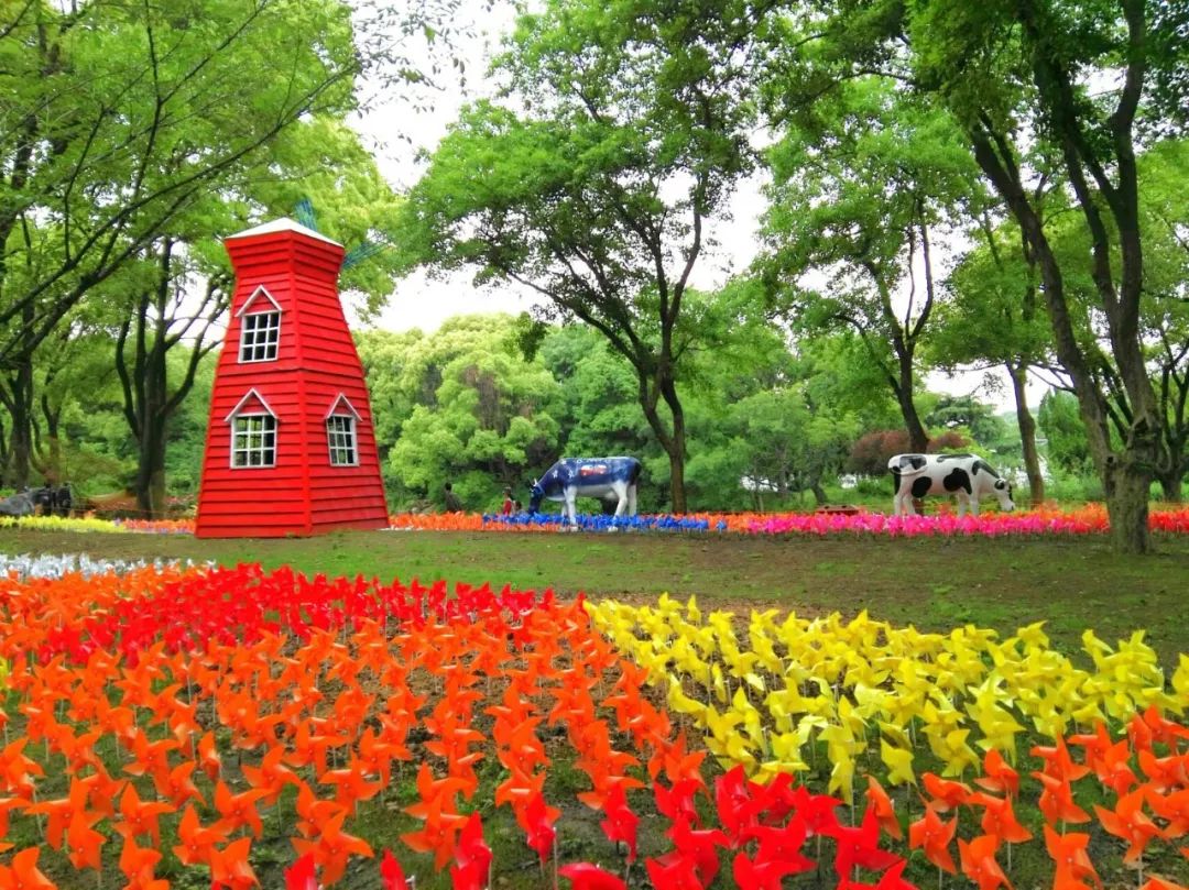 彩虹花园，梦想与希望的绿意天堂