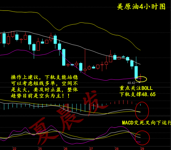 双色球50期开奖结果走势图深度解析与未来趋势预测