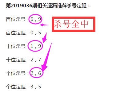 2019年彩票开奖结果，一场数字的奇幻之旅