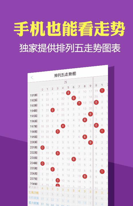 2023澳门正版资料大全免费，一场数字时代的娱乐盛宴