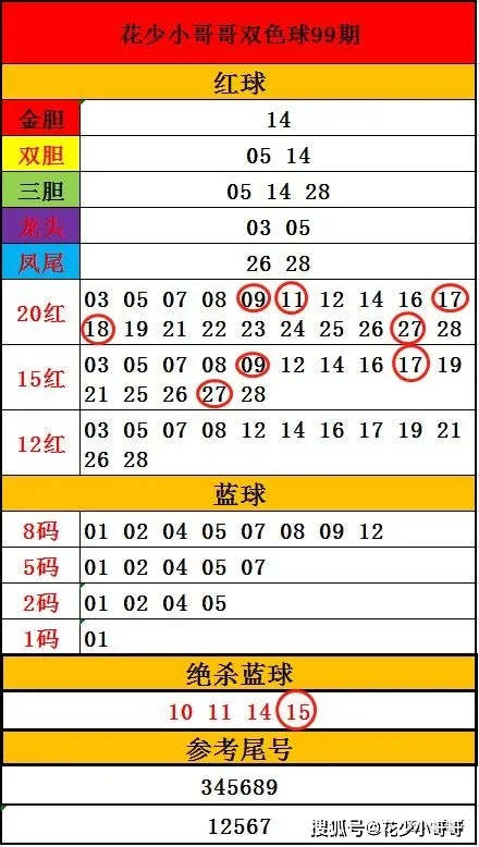 2021年双色球2021234期开奖结果深度解析与回顾