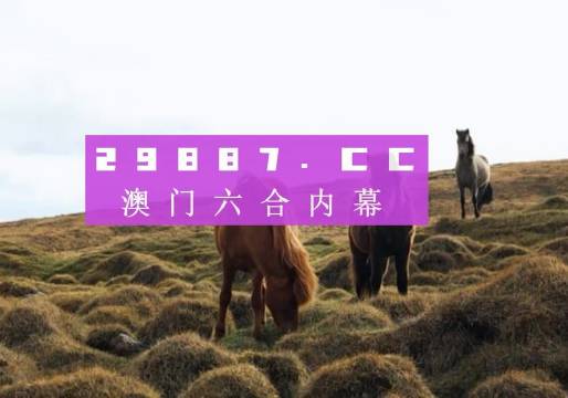 澳门今晚开奖号码，揭秘背后的故事与图库探索