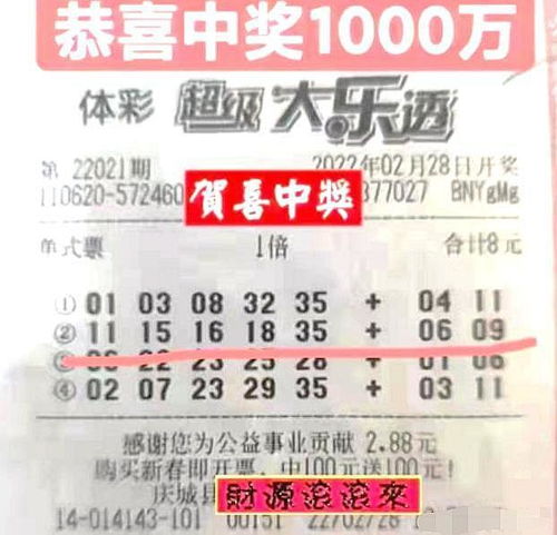 2024020期双色球开奖结果，梦想与幸运的碰撞