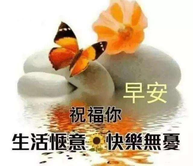 今日开奖结果，揭秘幸运的瞬间与希望的光芒