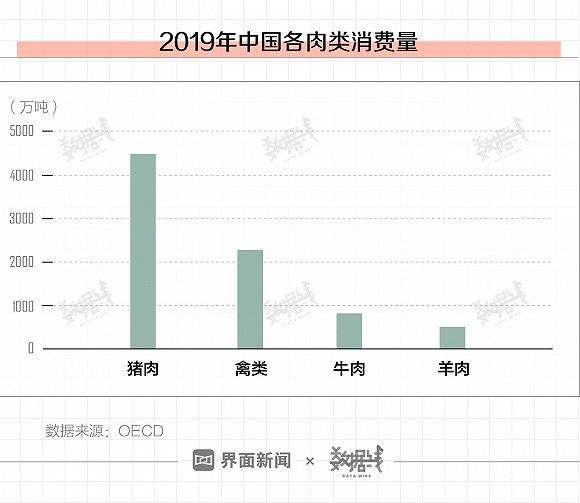 探索双色球近500期走势，新浪数据下的理性分析与策略建议