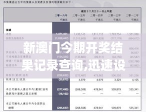 2049，新奥历史开奖记录的里程碑——第13期与未来展望新澳历史开奖结果记录