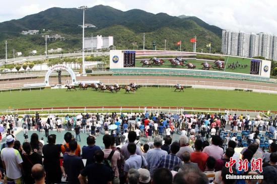 探索香港马会正版资料大全2019，赛马的智慧与激情香港正版马会免费资料大全