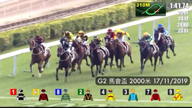 2019年香港马内部免费资料，揭秘赛前策略与选马的智慧