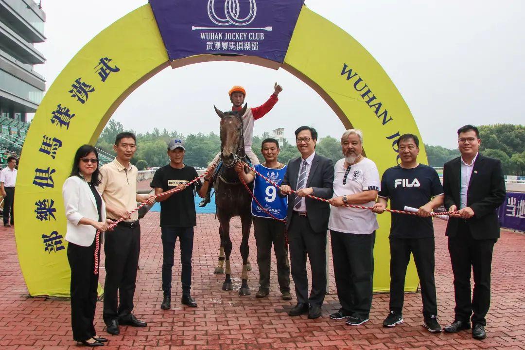 探索香港正版马会精选资料大全，揭秘赛马的智慧与激情香港正版马会精选资料大全On my new hotel