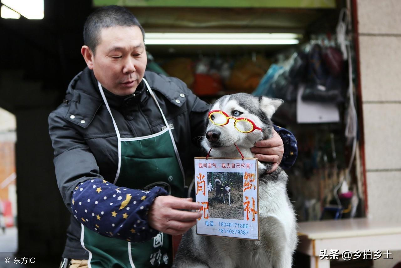 中特特的奥秘