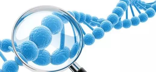 东方基因检测试剂盒使用指南，精准健康管理的第一步东方基因检测试剂盒使用方法图片
