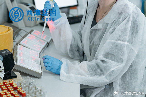 东方基因检测试剂的准确性，科学、严谨与信任东方基因检测试剂准不准确
