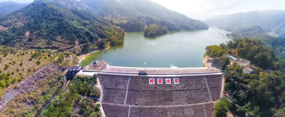 福建水利汛息，守护绿水青山，筑牢防洪安全网福建水利信息网汛期