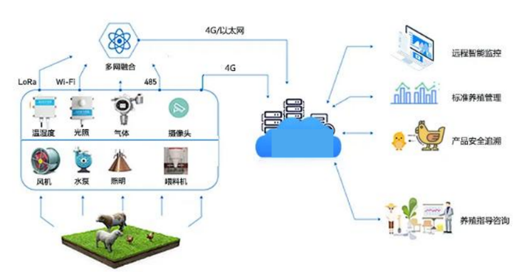 探索国家粮油信息直报网，构建智慧农业的神经中枢国家粮油信息中心
