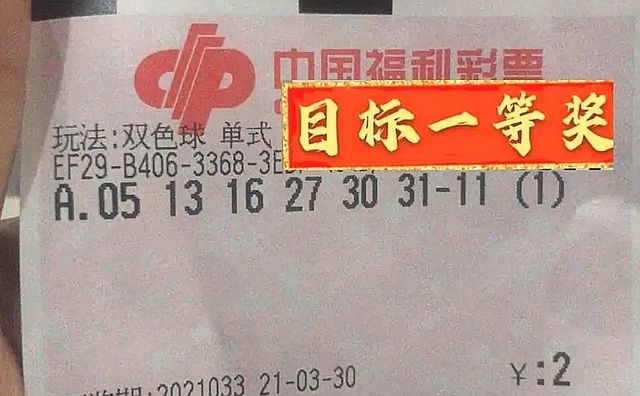 2013年双色球第4期，中奖情况揭晓，幸运彩民喜迎大奖双色球2021038期中奖明细