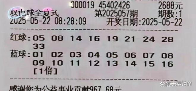 探索双色球字迷图，揭秘背后的奥秘与乐趣双色球字迷图迷双色球字谜总汇牛彩网