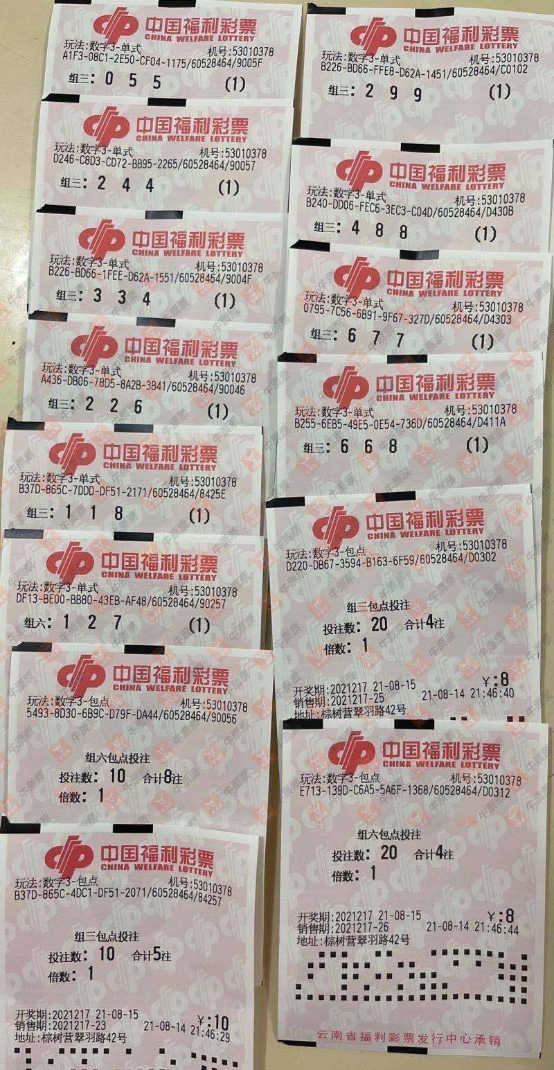 彩报大全3D，解锁彩票世界的无限可能彩报大全3D