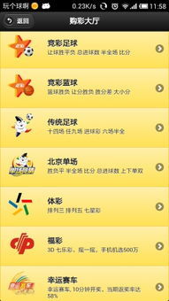 线上彩票APP,数字时代的娱乐新风尚线上彩票app合买