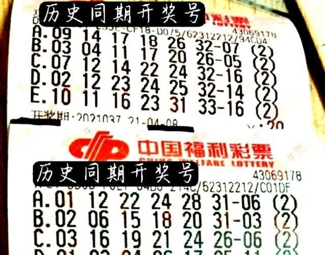 2036年福彩双色球阳光探码图，揭秘数字背后的幸运与智慧2o2o最新双色球阳光探码图