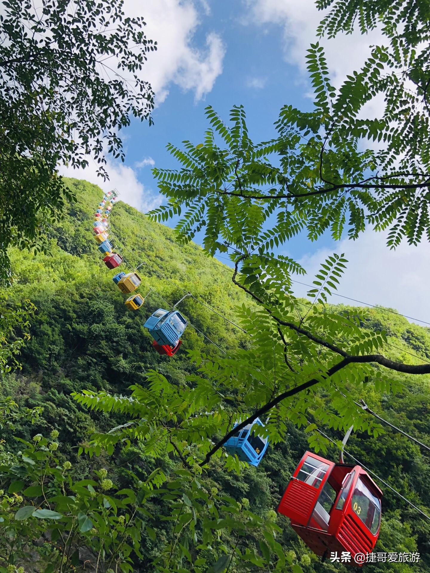 幸运与智慧