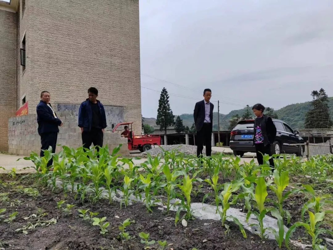 贵州12345,打造智慧服务新模式,助力乡村振兴与民生改善贵州113地质队领导班子