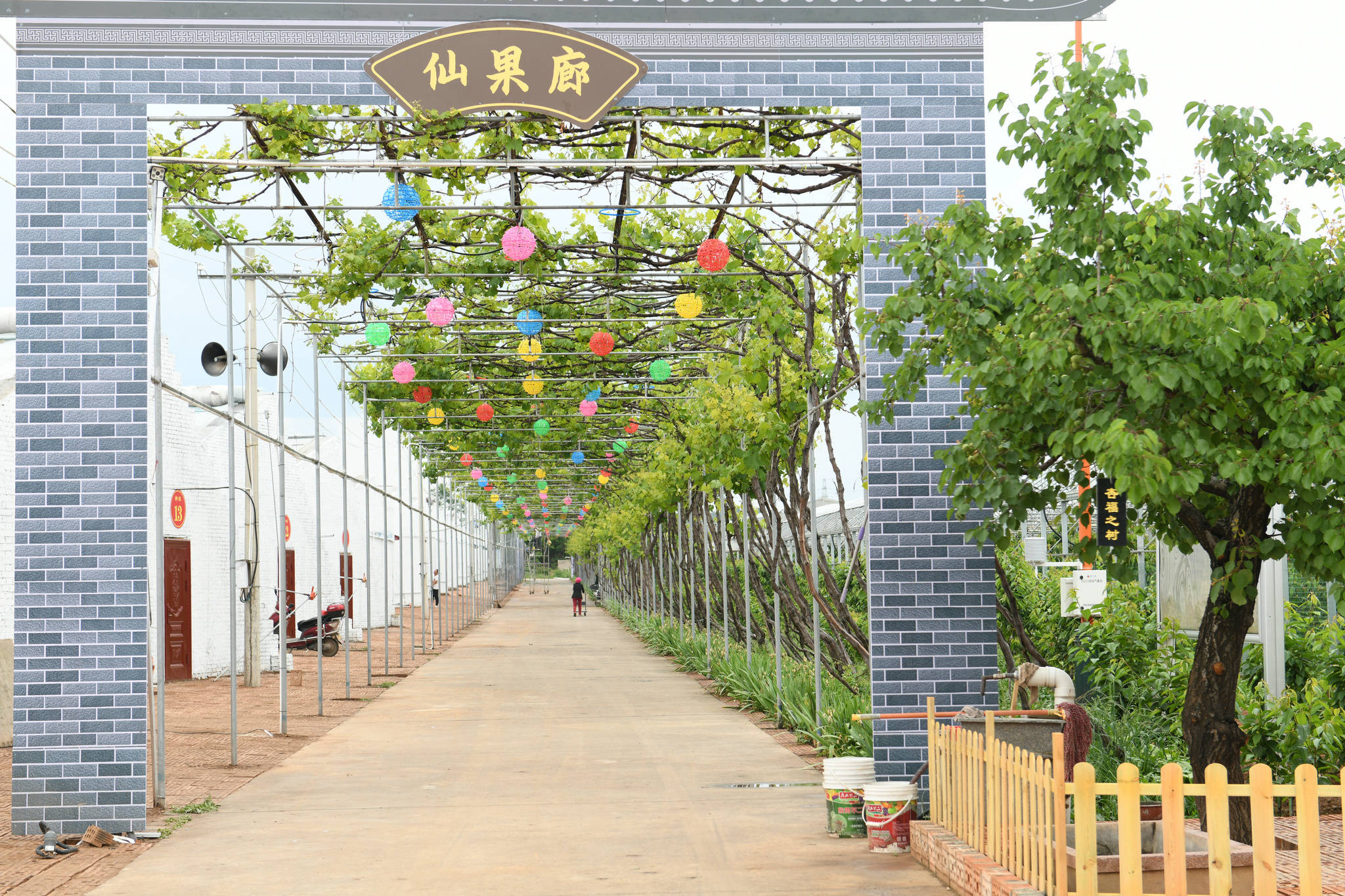 智能采摘园，手机引领的现代农业革命采摘园怎么玩