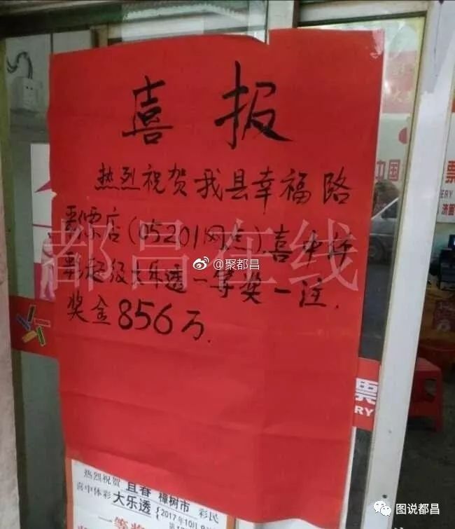 揭秘大乐透牛彩专家图，科学预测与理性投注的完美结合大乐透牛彩图彩民乐