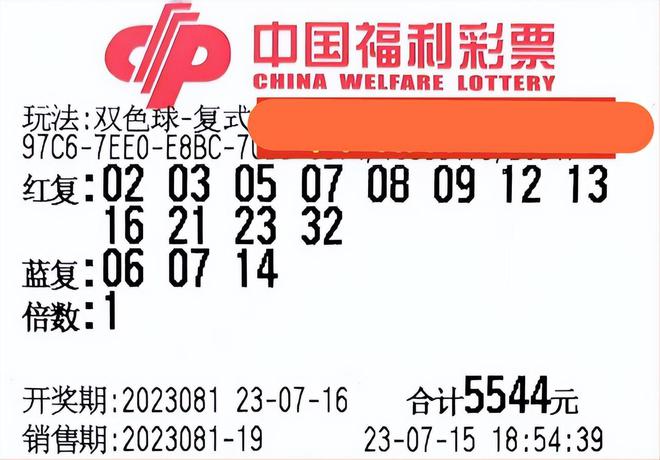福利3D彩票开奖结果2019年回顾与展望，数字背后的希望之光福彩3d2021106开奖结果