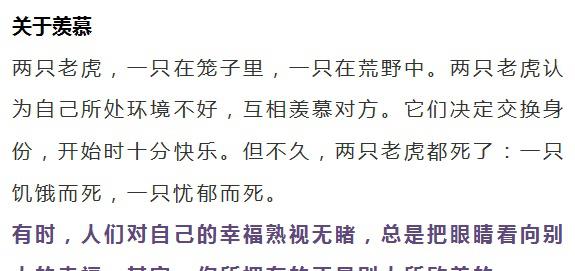 十字谜趣,小故事中的智慧火花字谜小故事10字简短打一字和答案