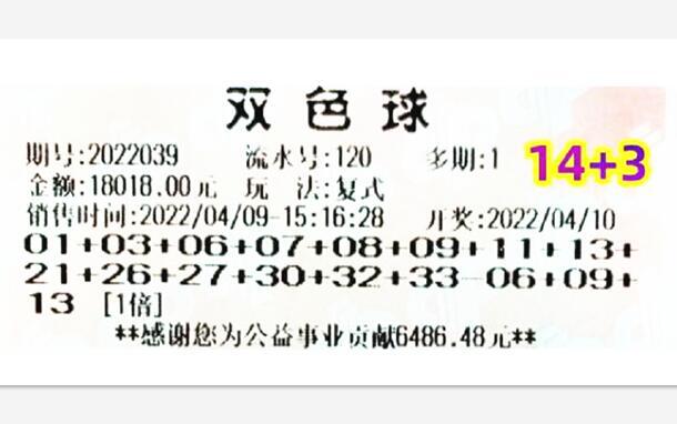 福利彩票双色球开奖结果查询24036，揭秘数字背后的幸运与希望双色球开奖结果202124