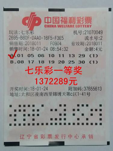 2018年福利彩票双色球开奖结果查询，揭秘与解析中国福彩双色球开奖结果查询2021018