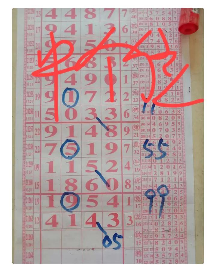 探索近50期排列五开奖历史的奥秘排列五开奖历史记录近10期