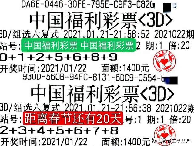 揭秘社会福利彩票3D字谜，数字背后的智慧与乐趣社会福利彩票三地字谜汇总